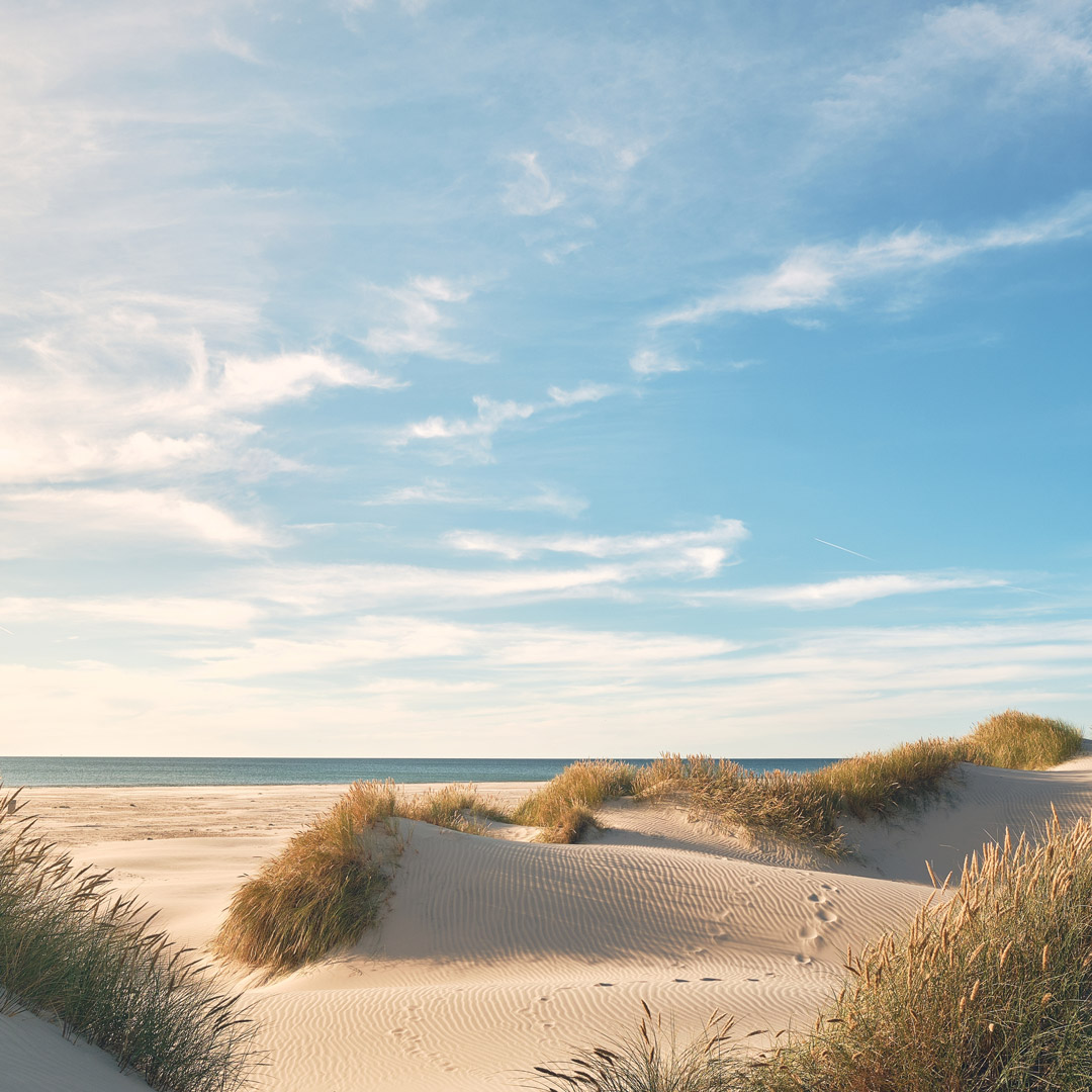 selenza_es_manantiales_1x1